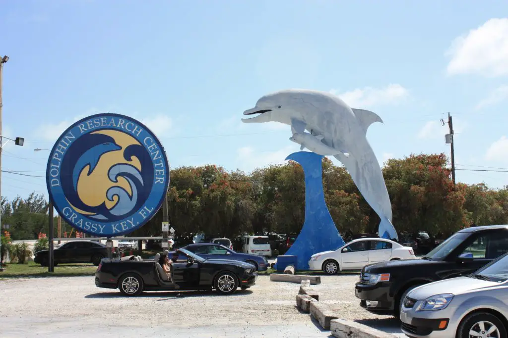 Dolphin Research Center, Grassy Key, Florida