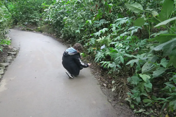 Kind fotografiert im Eden Project, Cornwall