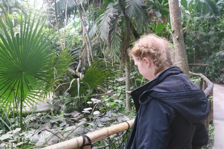 Kind im Eden Project Cornwall