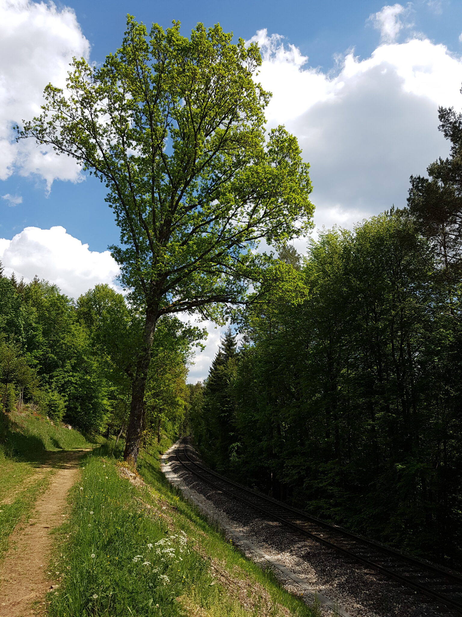 Eisenbahnlehrpfad