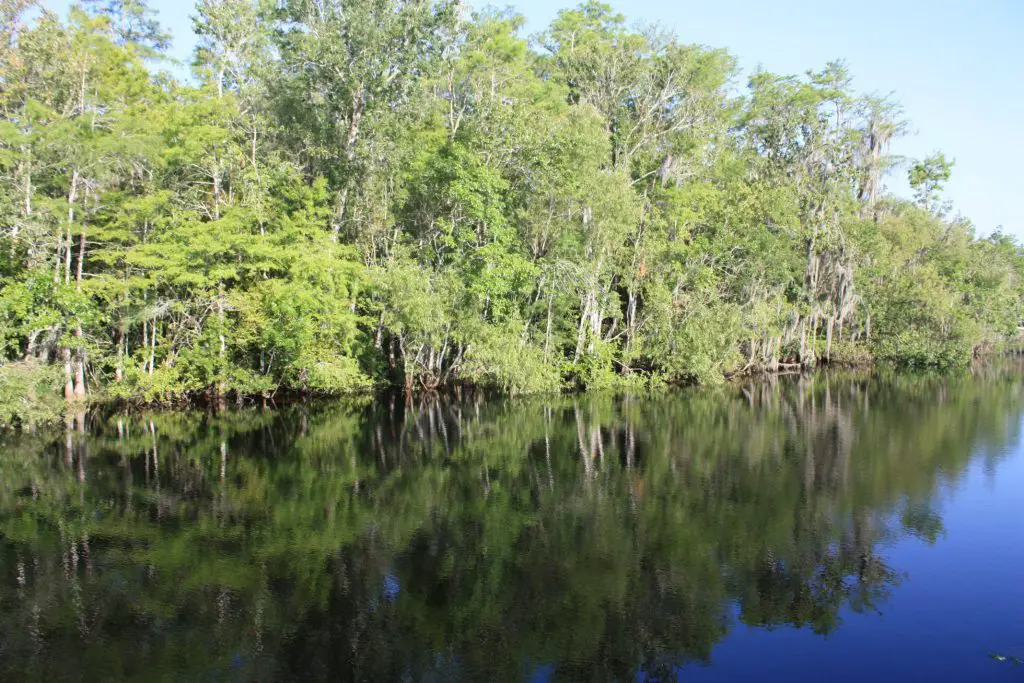 Einer der Aussichtspunkte am Tamiami Trail, Florida