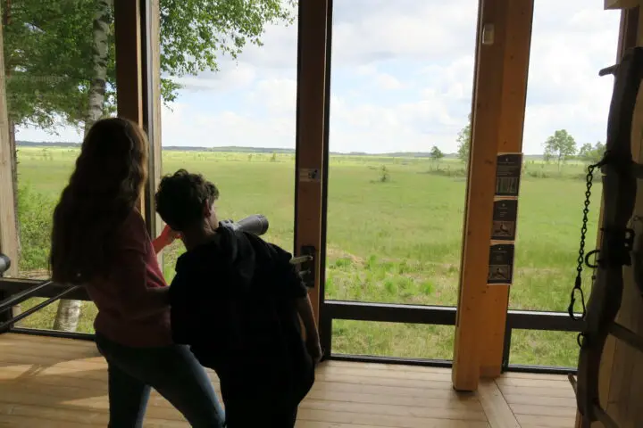 Naturum Kindermuseum im Store Mosse Nationalpark