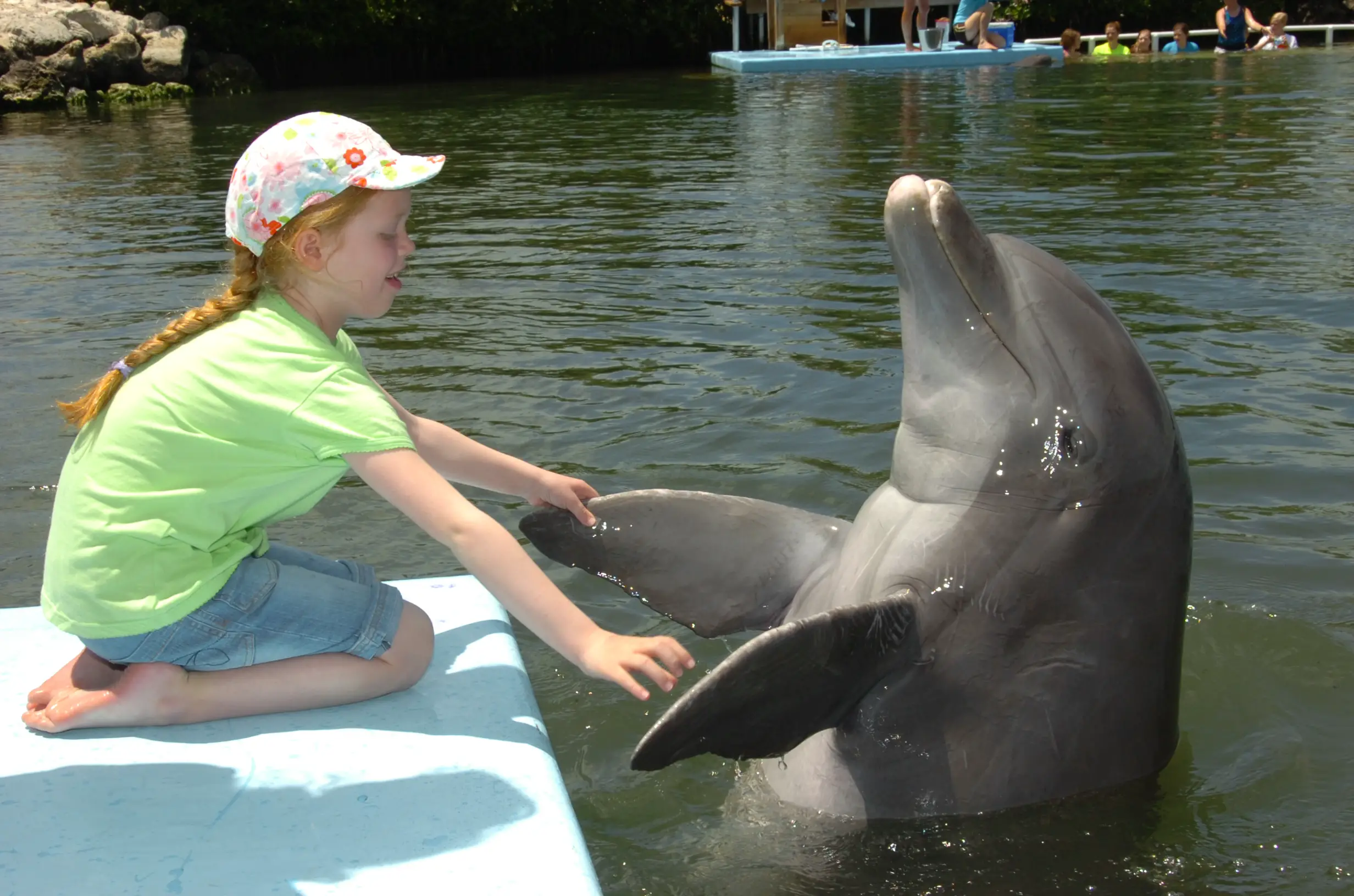 Florida Keys – Mit Delfinen schwimmen