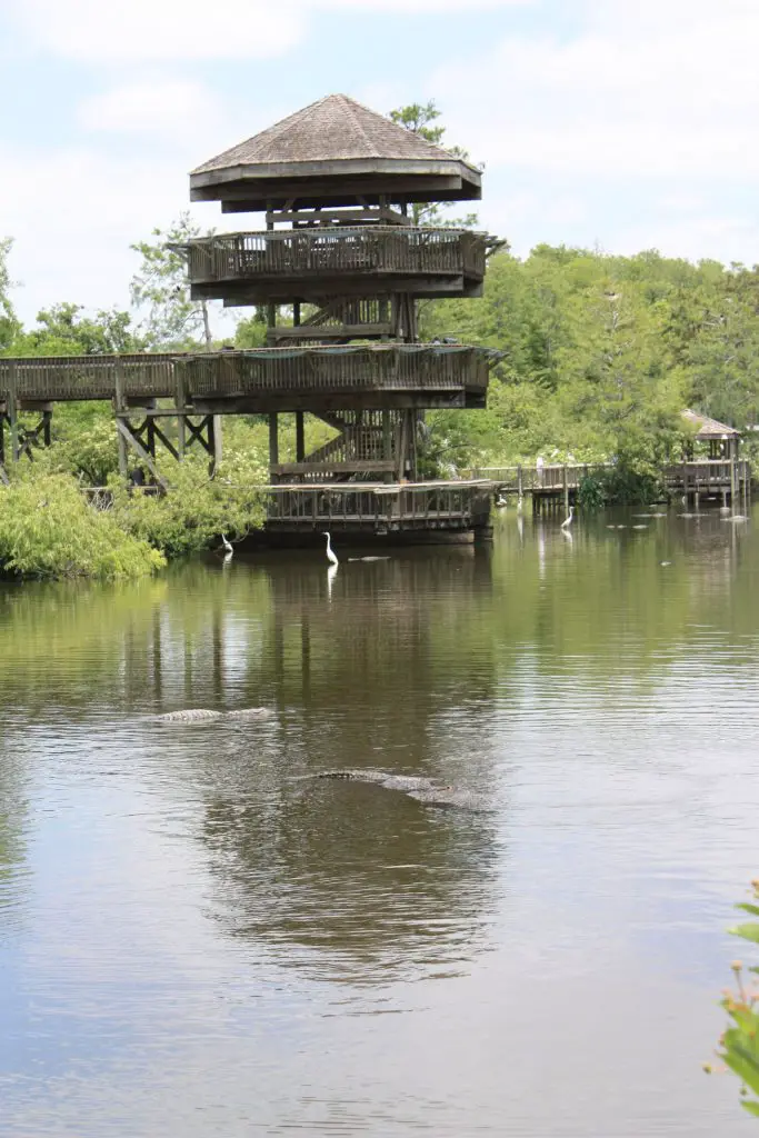 Der Aussichtsturm bietet einen tollen Blick über den See und das angrenzende Sumpfgebiet in Gatorland, Orlando, Florida