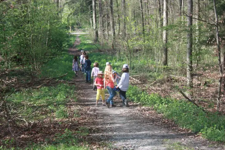 Kindergeburtstag im Wald