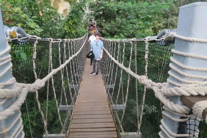 Hängebrücke im Tropenhaus Eden Project Cornwall