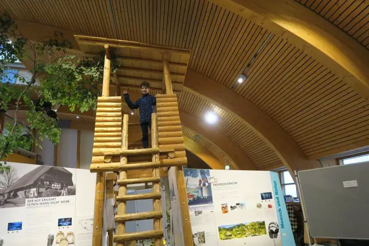 Hochsitz im Haus der Natur auf dem Feldberg