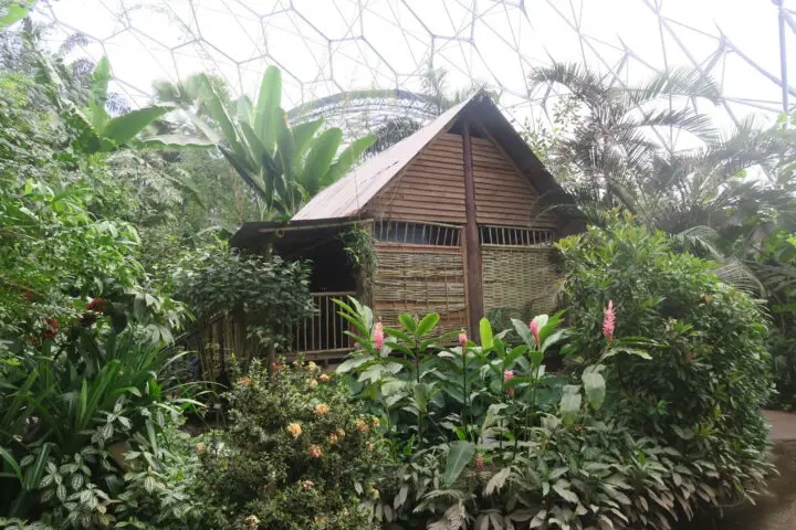Tropenhaus im Eden Project, Cornwall