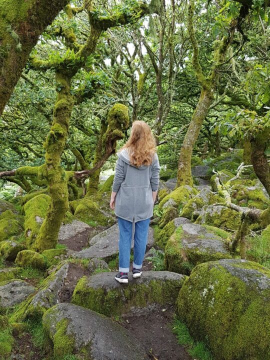 Im Märchenwald im Dartmoor