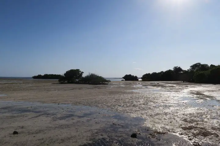 chale Island, Kenia mit Kindern