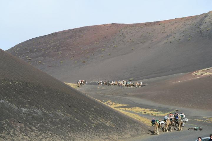 Kamelritt in den Timanfaya Nationalpark