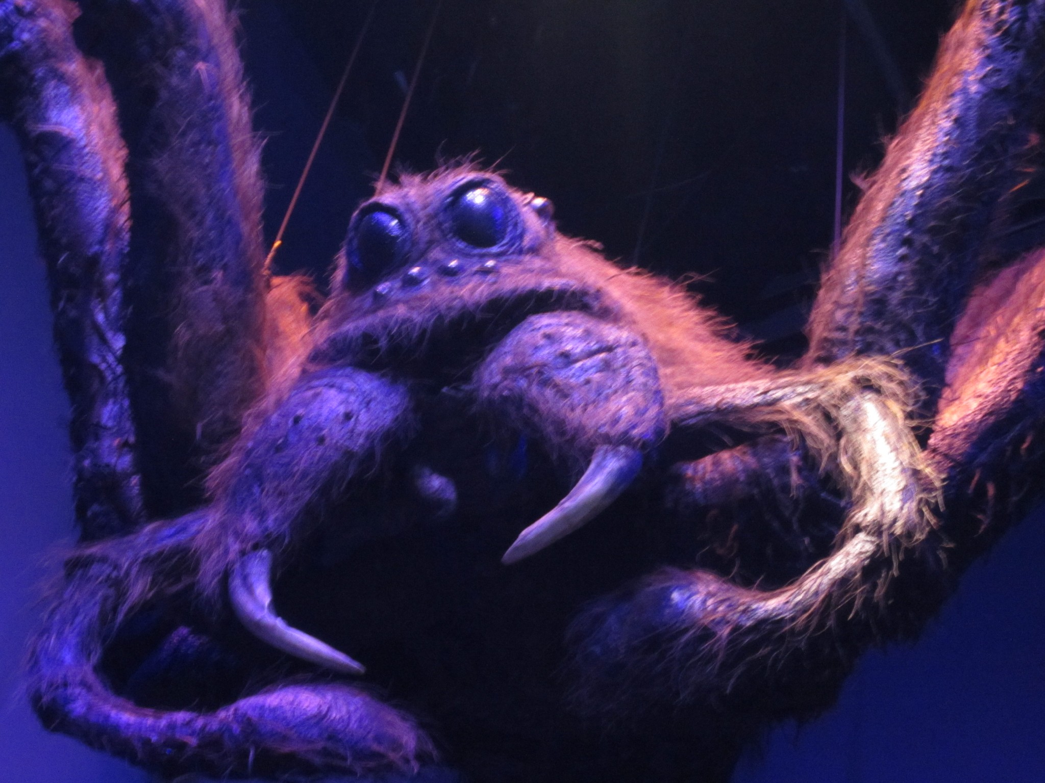 Harry Potter Studios Hier erwacht die Welt der Zauberschüler zum Leben mee(h)rerleben.de