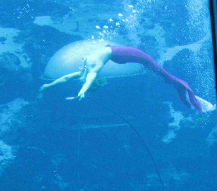 Meerjungfrau in Weeki Watchee, Florida