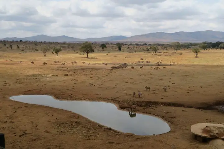 Taita Hills Reserve, Sarova, Safari mit Kindern, Kenia mit Kindern