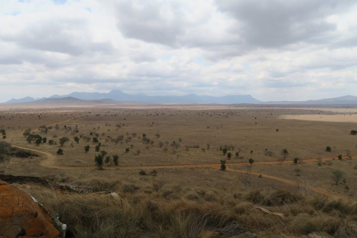 Taita Hills Reserve, Safari mit Kindern, Kenia mit Kindern