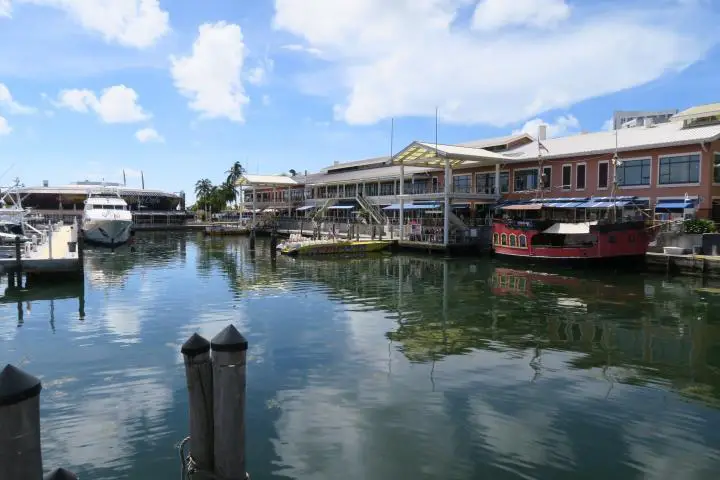 Harbour, Downtown Miami, Sightseeing Cruise in Miami