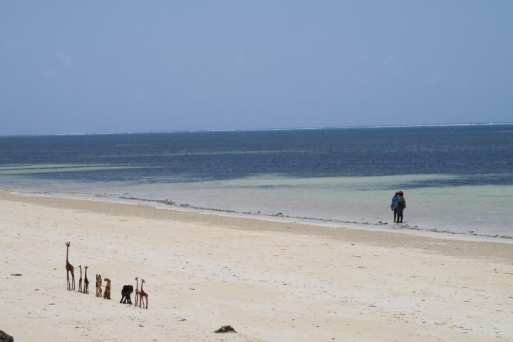 Severin Sea Lodge, Strand, Kenia mit Kindern