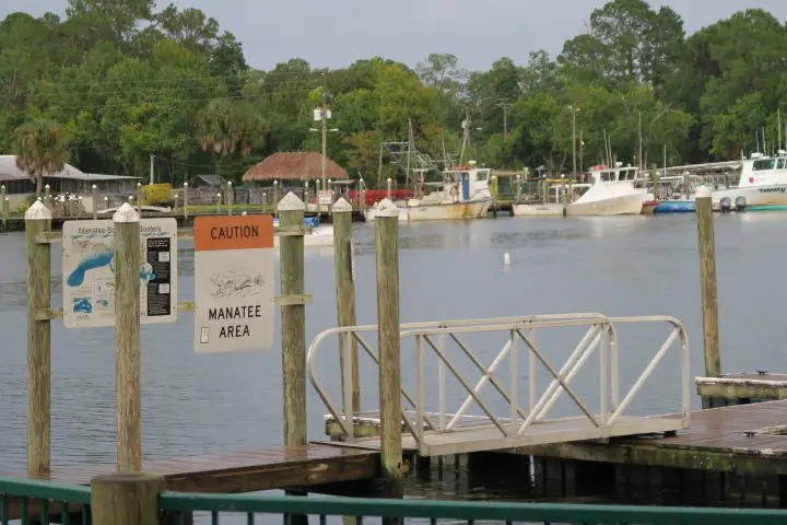 Hafen von Crystal River, Hurrikan