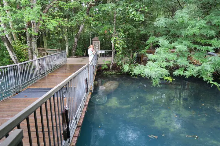 Homosassa Springs, Florida