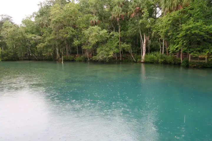 Homosassa Springs, Hurrikan Hermine