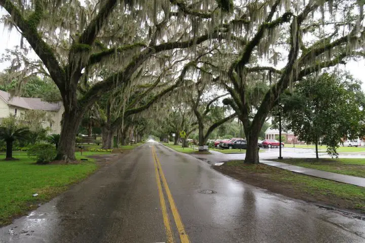 Road in Crystal River before Hurrican Hermine