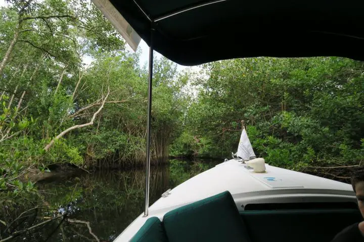 Bootstour, Gordon River, Nature Center, Conservancy of Southwest Florida, Naples