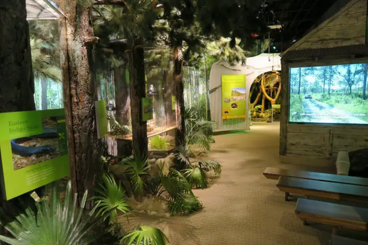 Nature Center, Conservancy of Southwest Florida, Naples