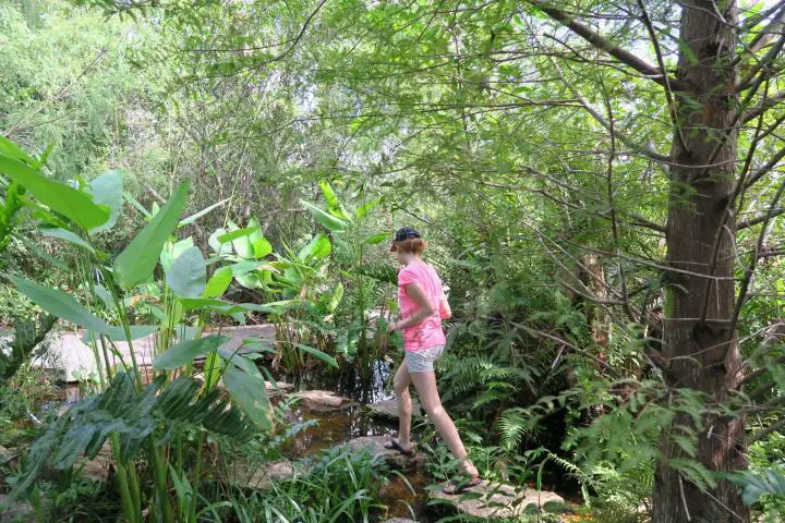 Familienausflug Naples Botanical Garden, Florida, Kinder