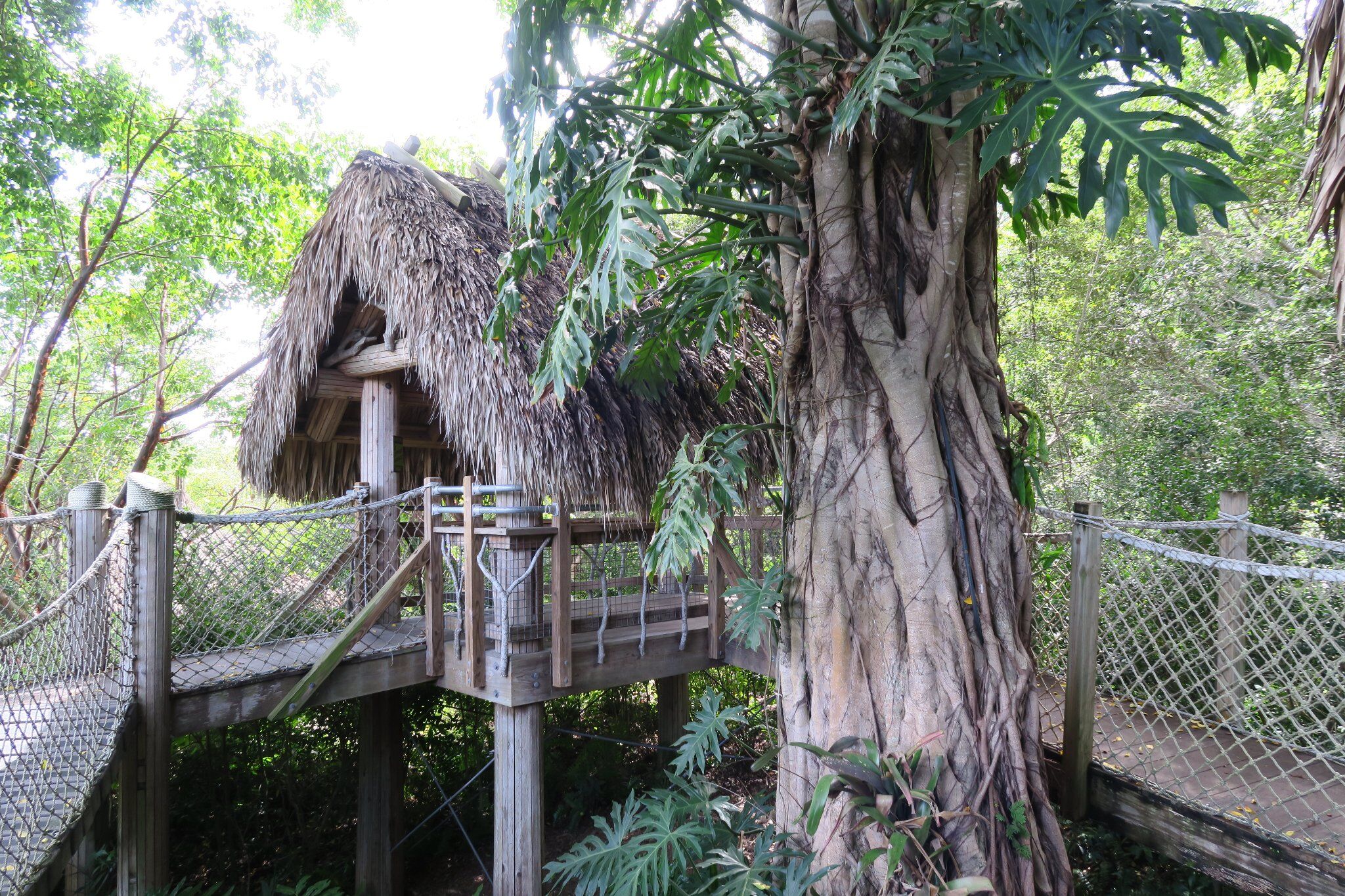 Familienausflug In Den Naples Botanical Garden Toll Fur Kinder