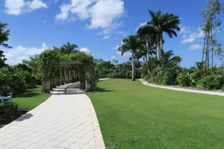 Palmenallee, Familienausflug Naples Botanical Garden, Florida, Kinder