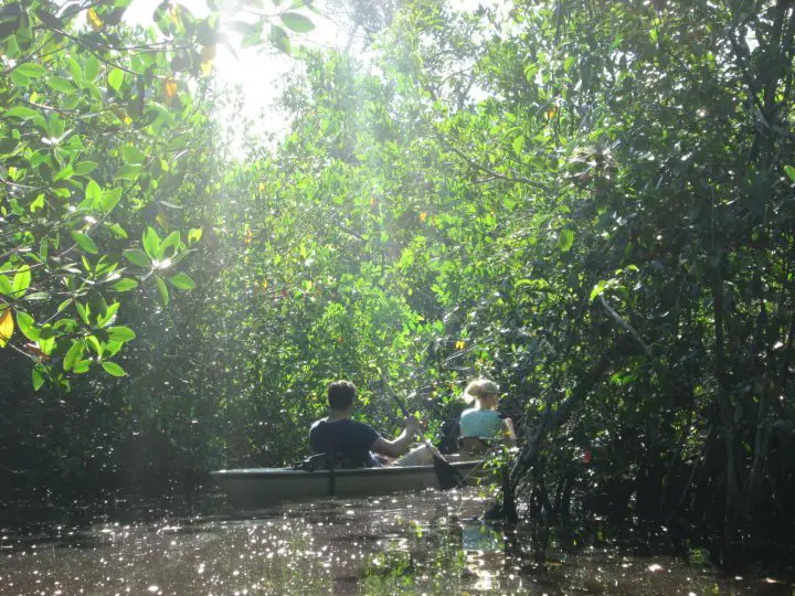 Mit dem Kajak durch die Everglades, Everglades Area Tours