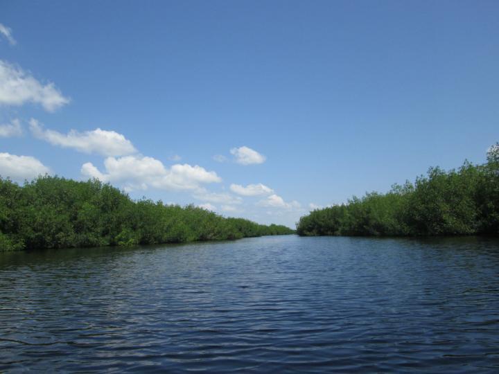 Everglades Area Tours, Kajaktour durch die Everglades