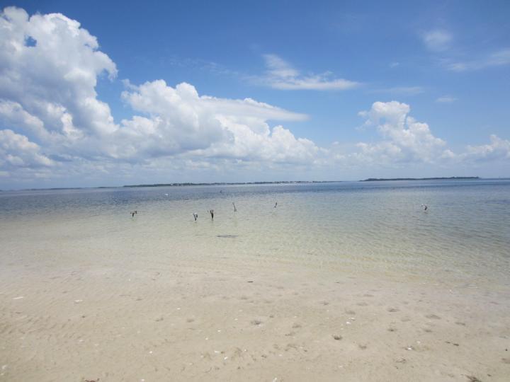 Strand auf North Key, Cedar Key, Florida