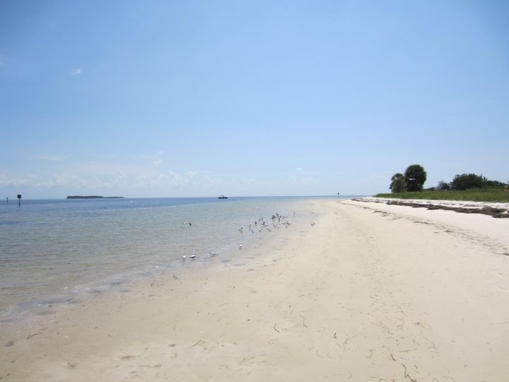 Naturbelassener Traumstrand, North Key bei Cedar Key, Florida