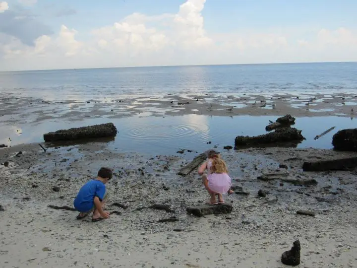 Kinder in Cedar Key, Florida