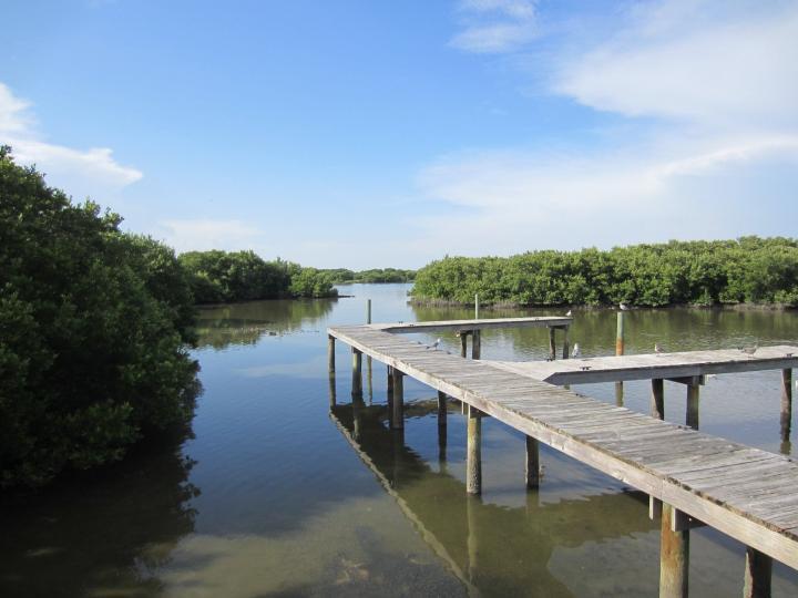 Stege in Cedar Key, Florida