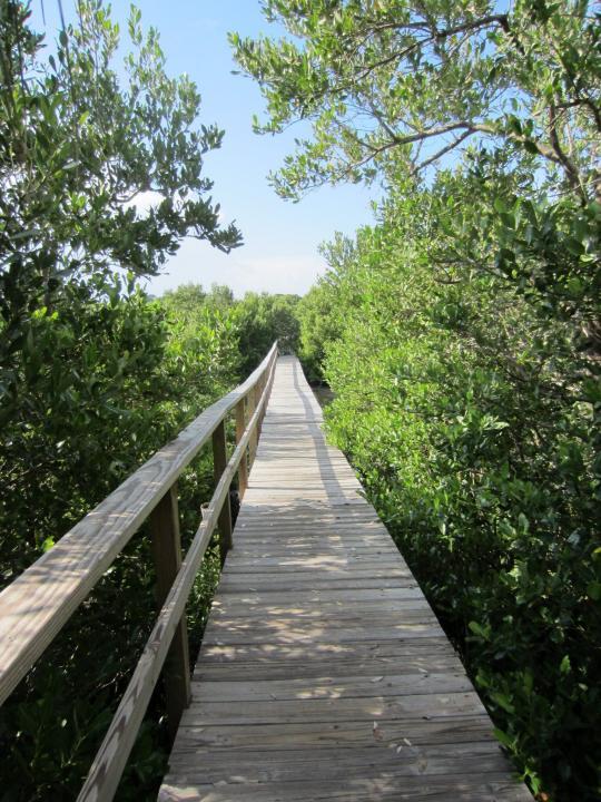 Steg in Cedar Key, Florida