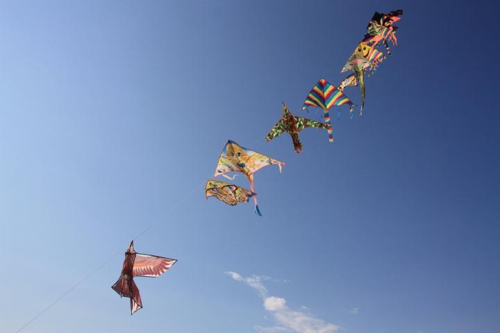 Bunte Drachen flattern im Wind, Lido di Altanea, Caorle