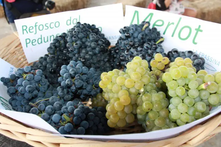 Die Schätze von La Frassina, Caorle, Wein