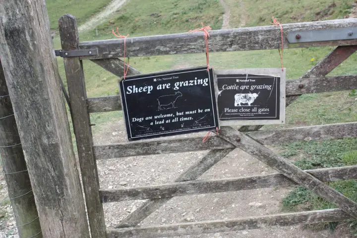 Schilder an den Weiden der Schafe und Kühe zieren die Gatter