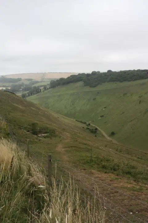 Blick in die steile Schlucht Devil's Dyke bei Brighton