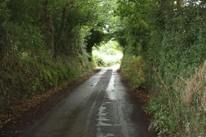 Straße durch das Dartmoor. Steile Wände führen direkt an der Straße hinauf. Die Bäume wachsen oben fast zusammen und bilden eine Art Tunnel.