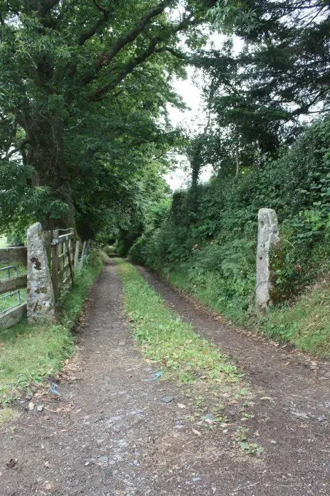 Idyllische schmale Wege führen durchs Dartmoor in England