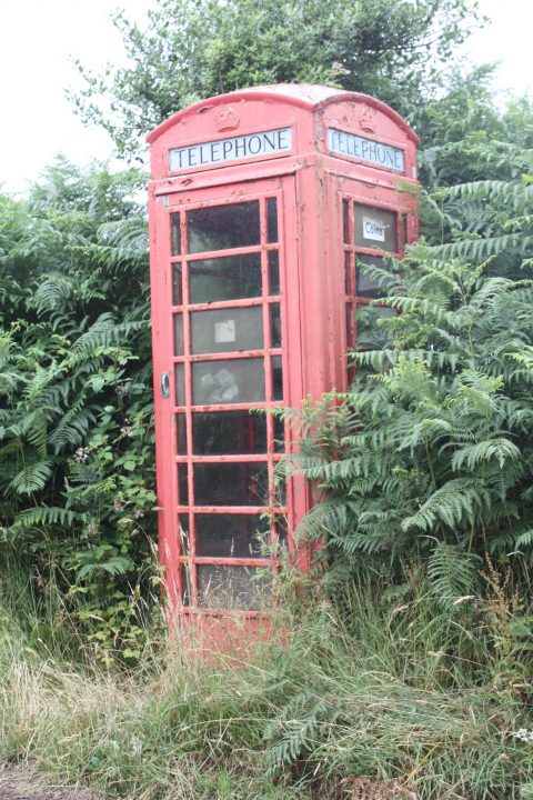 Rote Telefonzelle im Dartmoor, die von Pflanzen überwuchert ist.