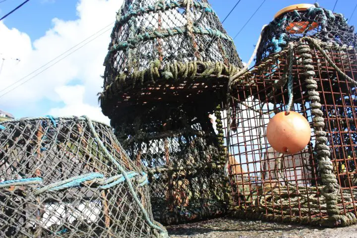 Hafen Idylle in Cadgwith, Cornwall