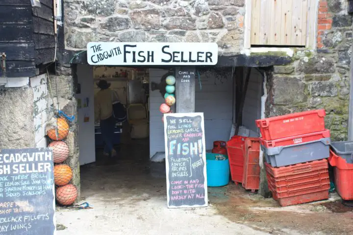 Fischhändler in Cadgwith, Cornwall