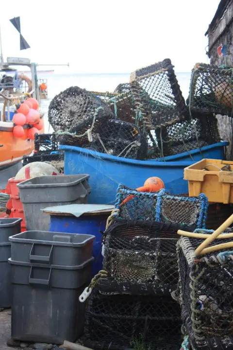 Am Hafen von Cadgwith, Cornwall