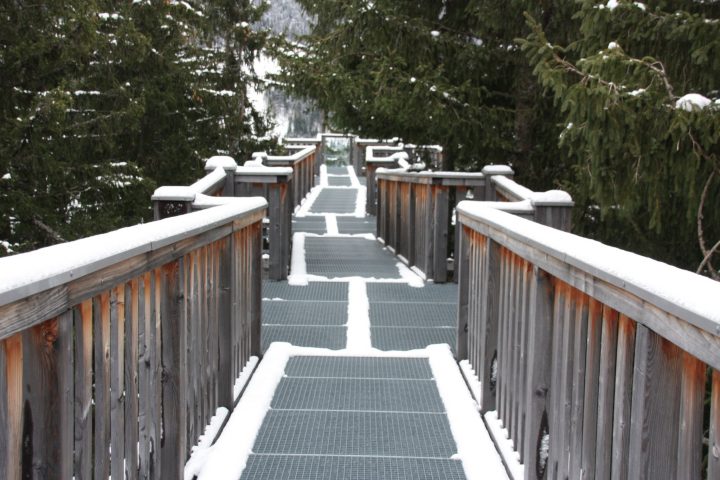 Baumzipfelweg im Schnee, Saalbach-Hinterglemm, Talschluss, für Familien