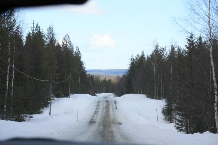 Fahrt durch die Wälder Lapplands, Schwedisch Lappland