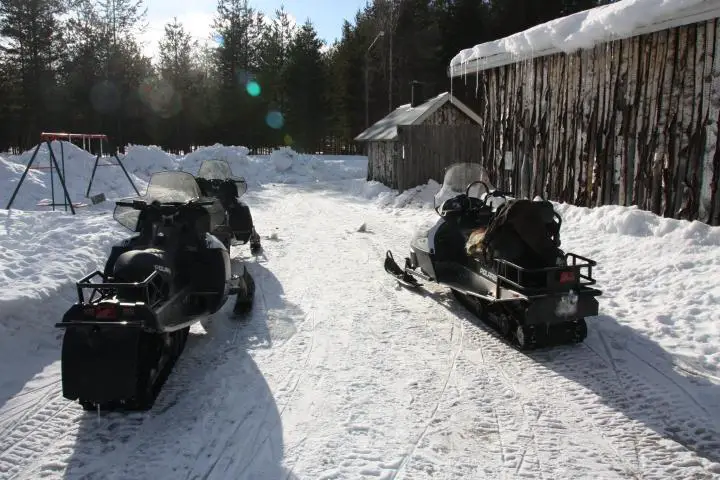 Elch-Safari mit Motorschlitten in Schwedisch Lappland, Svansele